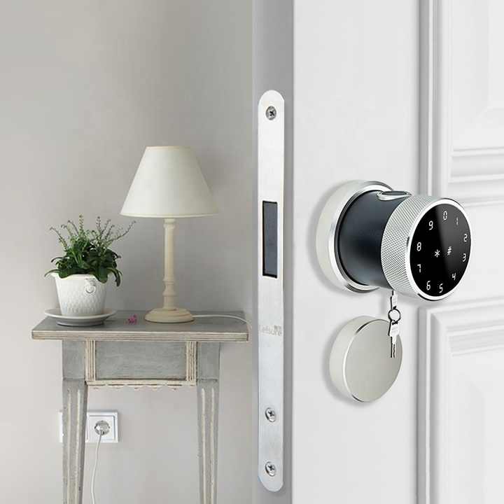 Electrica Smart Door Lock